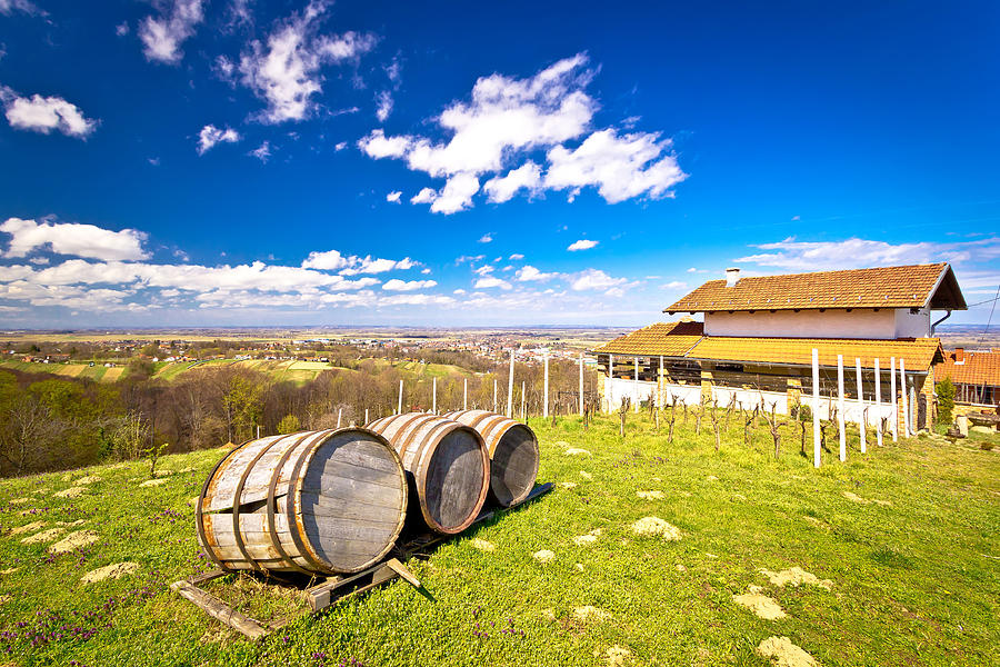 Vineyard hill landscape and wine barrels Photograph by Brch Photography