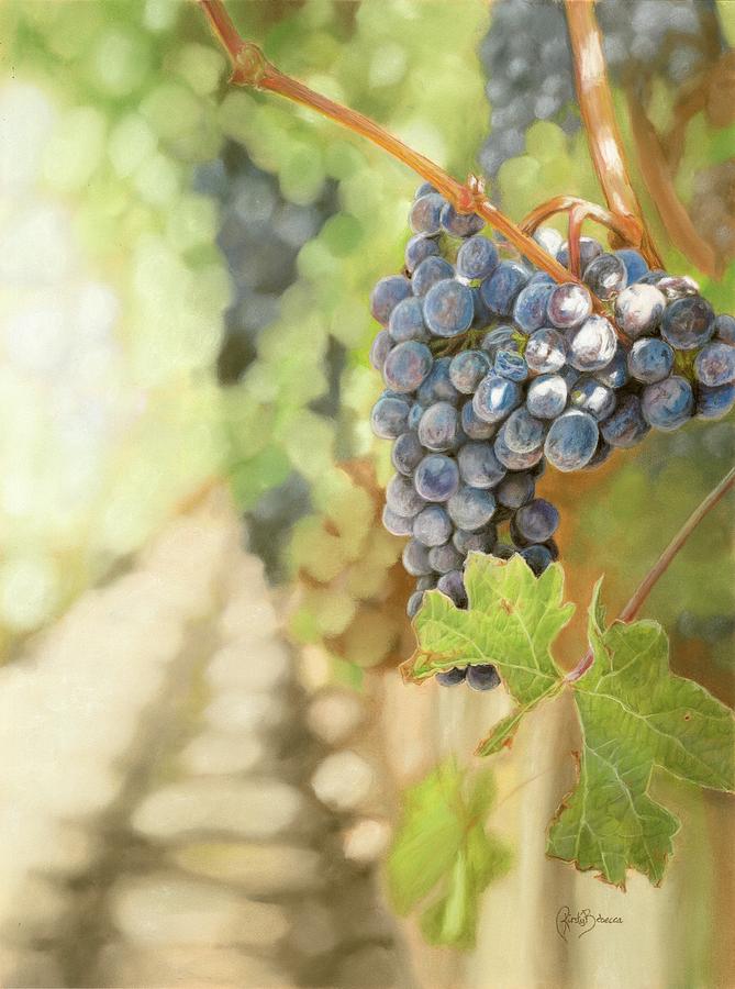 Grape Pastel - Vineyard by Kirsty Rebecca