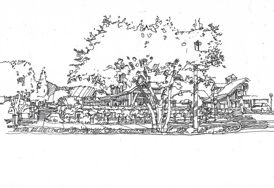 Vineyard Living Drawing by Andrew Drozdowicz