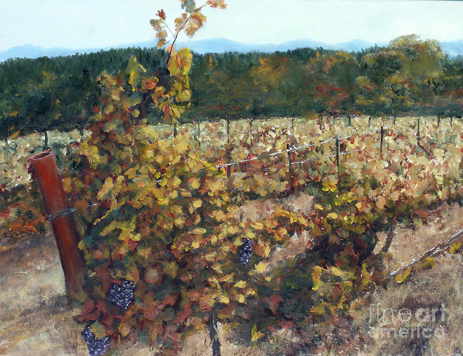 Vineyard Lucchesi Painting by Randy Sprout