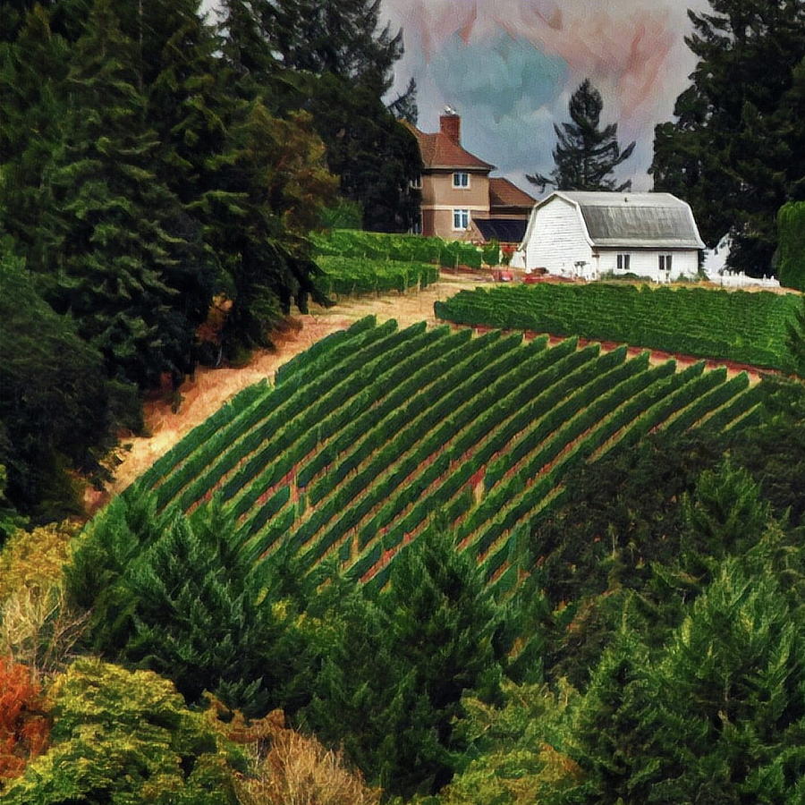 Vineyard On A Hill Digital Art