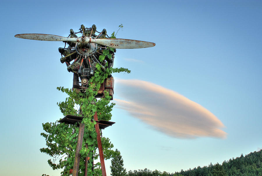 Spring Photograph - Vineyard Propeller 2 by Travis Elder