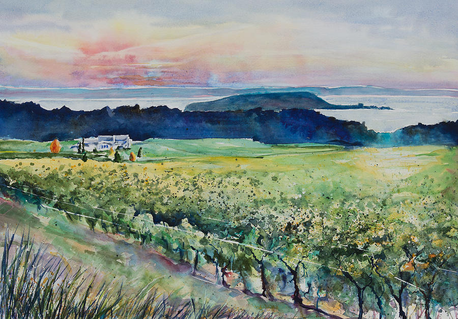 Wine Painting - Vineyard View  by Adam VanHouten