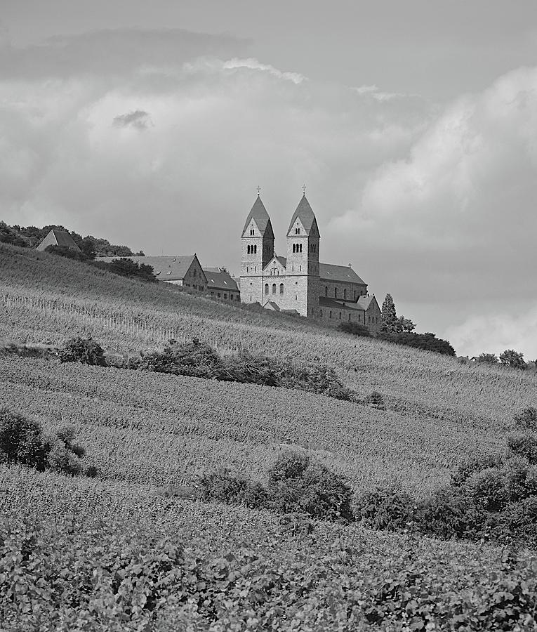 Vineyards along the Rhein  Photograph by Matt MacMillan