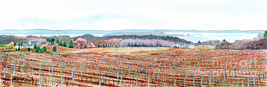 Vineyards of Mission Peninsula Painting by LeAnne Sowa
