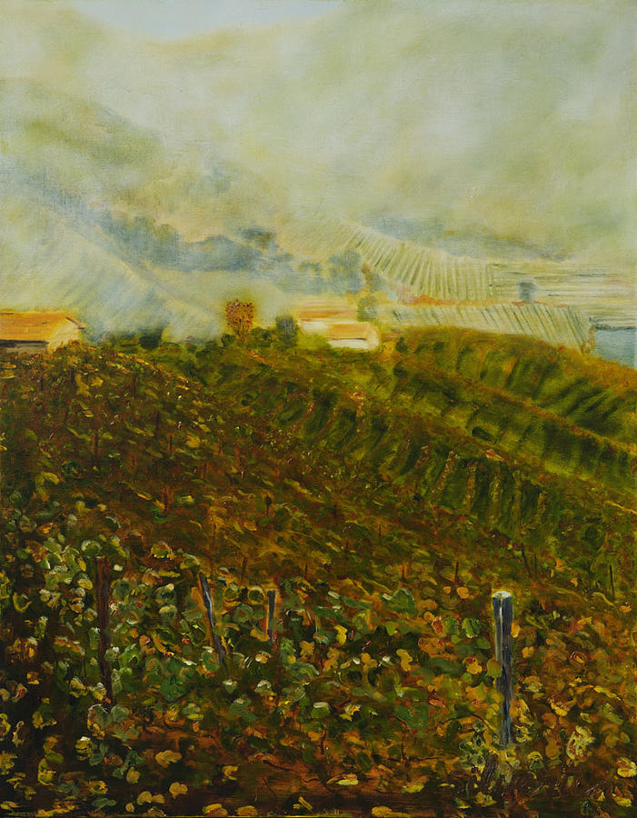 Vineyards of the Veneto Painting by Robert Silverton