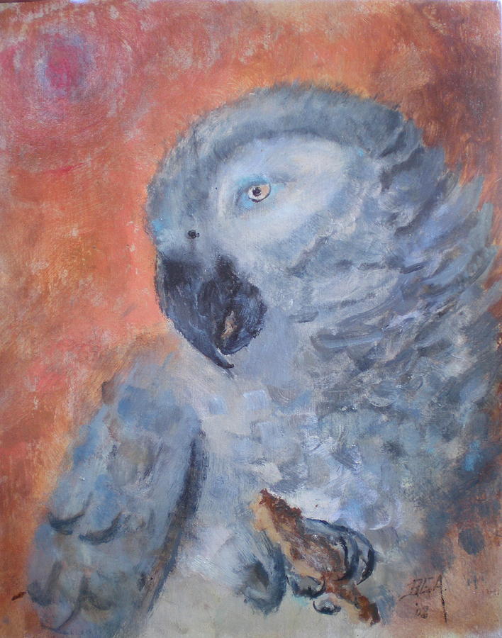 African Grey Parrot Painting - Vinny by Bryan Alexander African Grey Parrot Painting - Vinny by Bryan Alexander