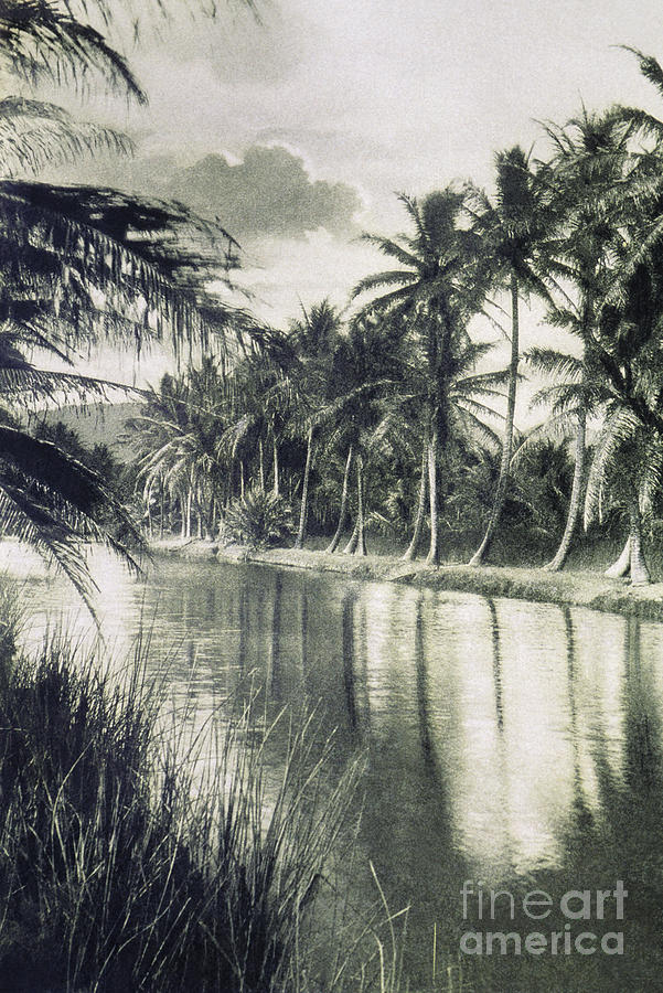 Vintage Photograph - Vintage - Ala Wai Canal by Hawaiian Legacy Archive - Printscapes