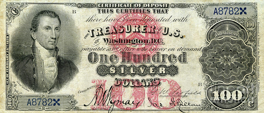 Vintage $100 Bill circa 1878 Photograph by Jon Neidert