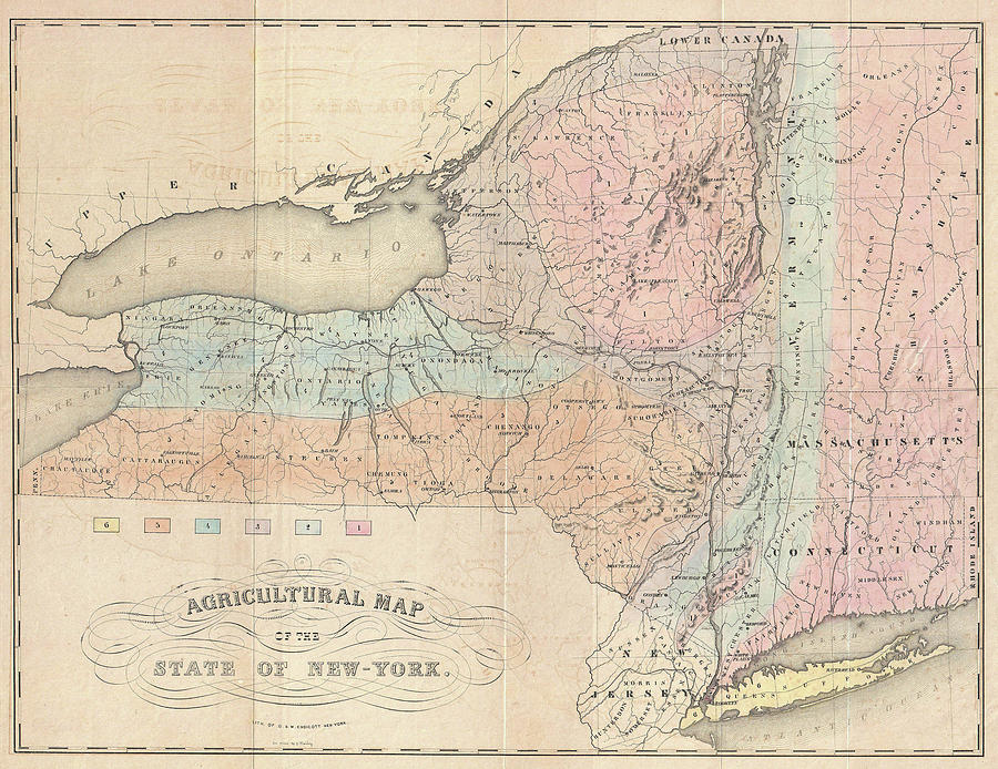 Vintage Agricultural Map Of New York - 1846 Drawing