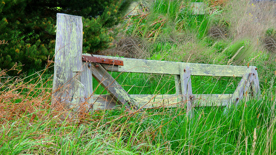 Vintage Americana - Fencing - Wooden Gate Photograph by Marie Jamieson