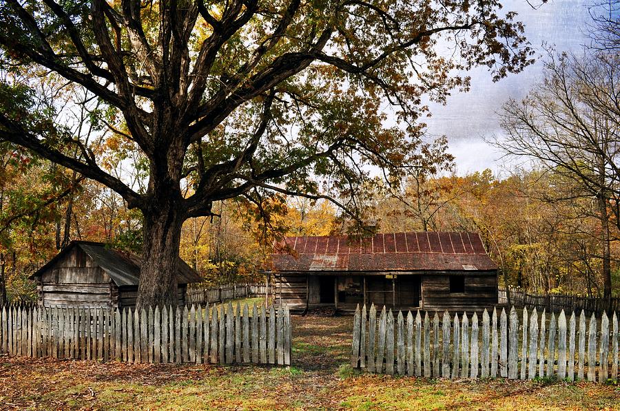 Vintage Arkansas Homestead Photograph by Marty Koch