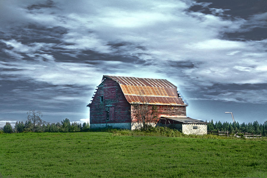 Vintage Barn at Thunder Bay Photograph by Judy Hall-Folde