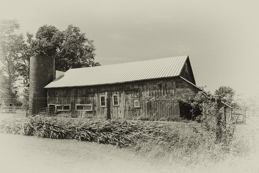 Vintage Barn Photograph by Mary Timman