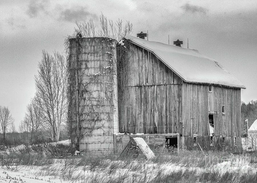 Vintage Barn Photograph by Rod Best