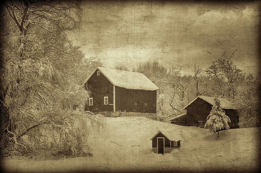 Vintage Barns Photograph by Eleanor Bortnick