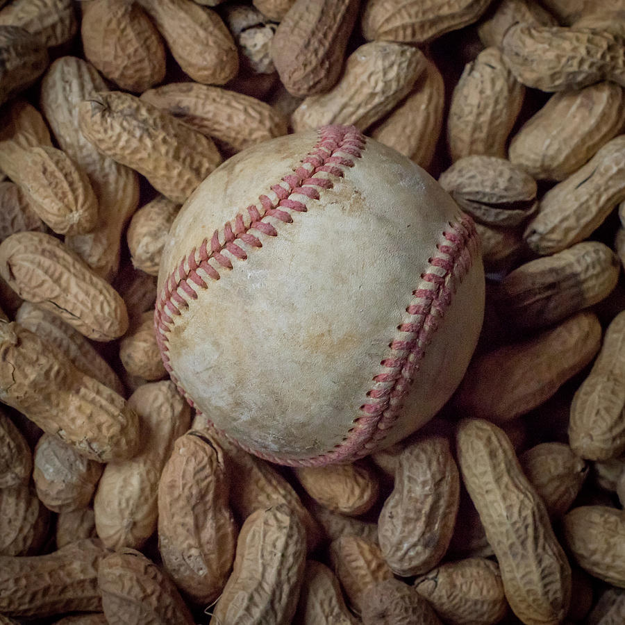 Baseball Photograph - Vintage Baseball and Peanuts Square by Terry DeLuco
