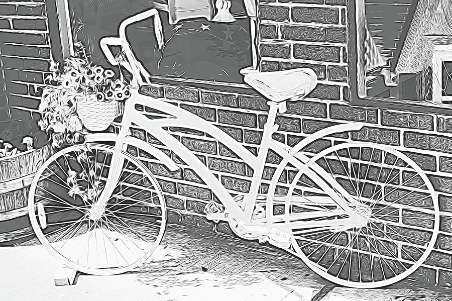 Vintage Bicycle  Photograph by Cathy Anderson