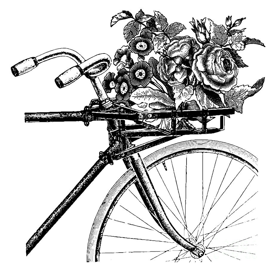 Старинный велосипед гравюра
