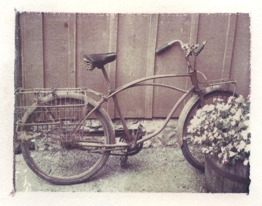 Vintage Bicycle Photograph by Jane Linders