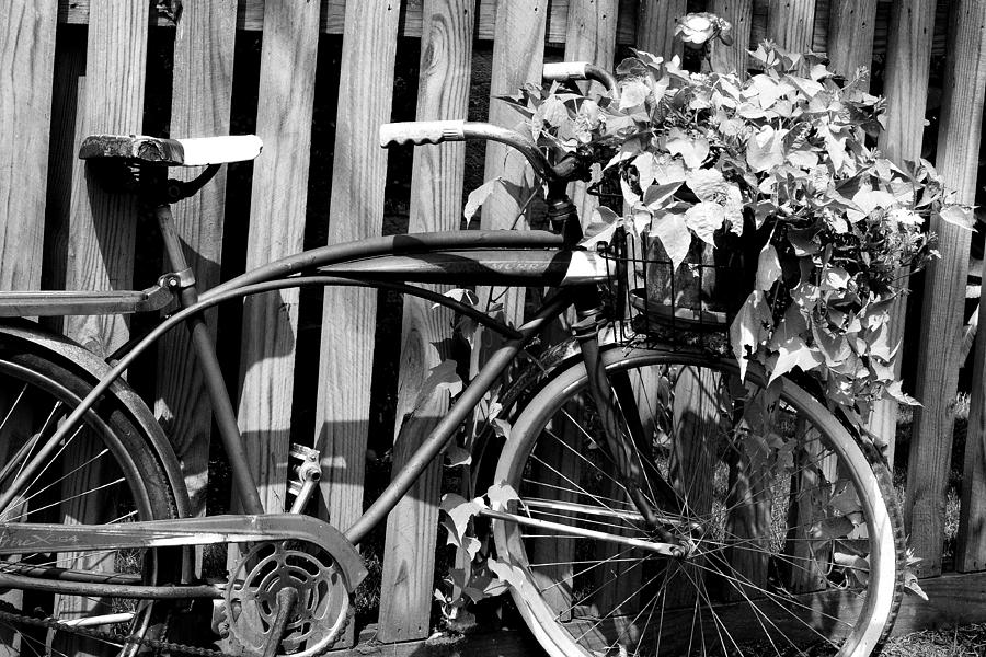 Vintage Bicycle  Photograph by Michelle Joseph-Long