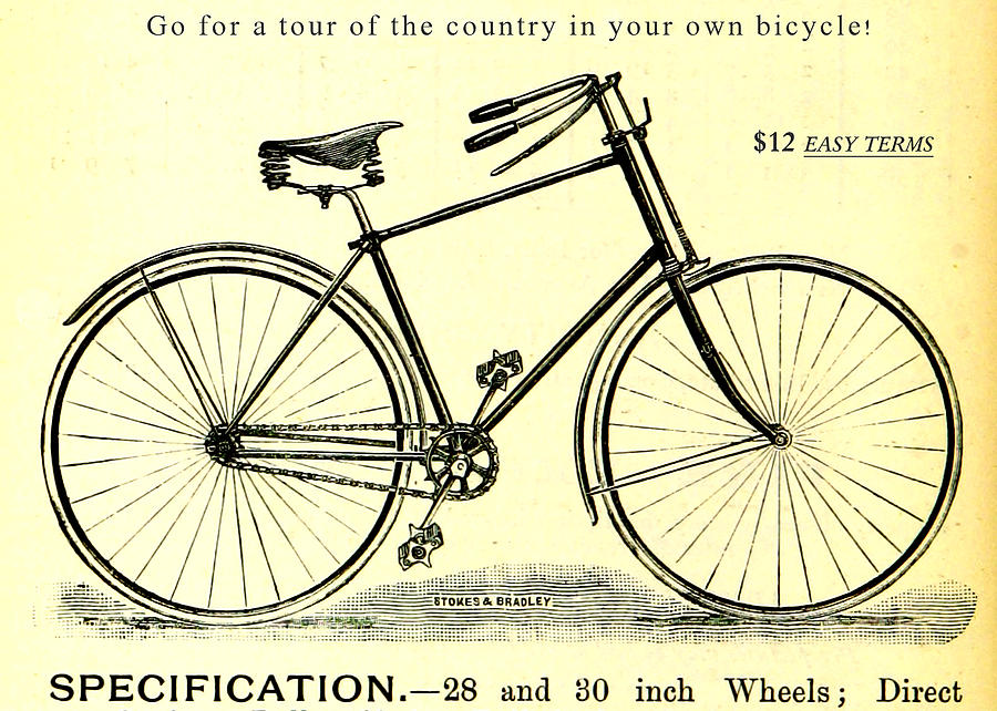 Vintage Bicycle Drawing by Vintage Pix