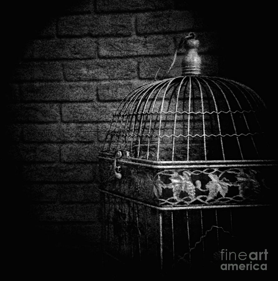 Nature Photograph - Vintage bird cage by Andrey Godyaykin