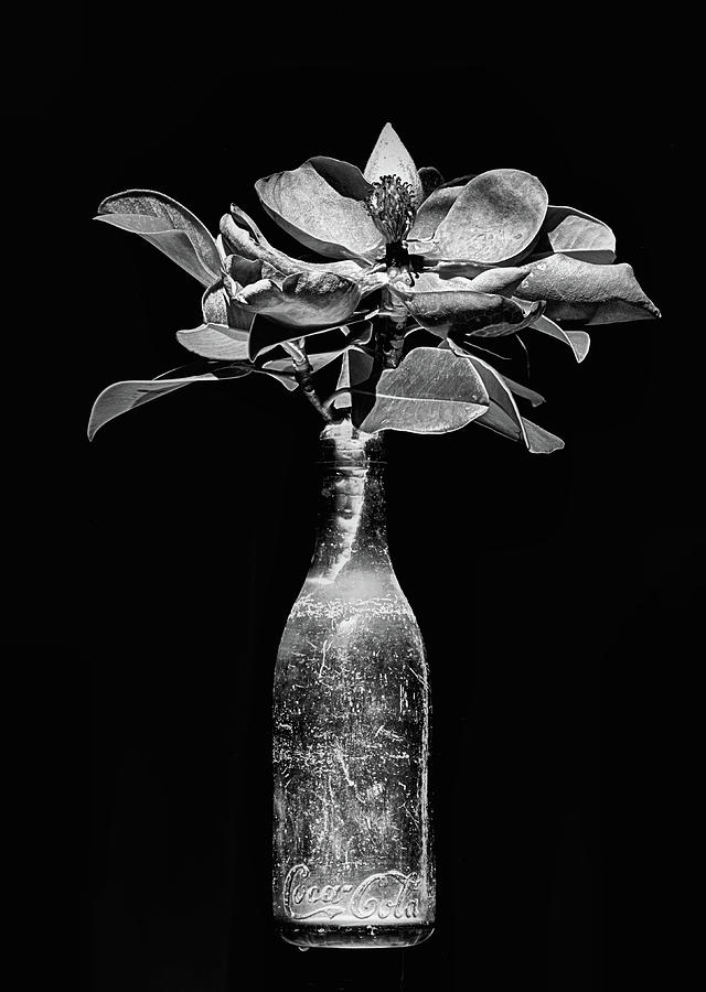 Vintage Black and White Coke Bottle Photograph by JC Findley