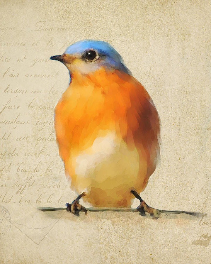 Vintage Bluebird Painting by Jai Johnson