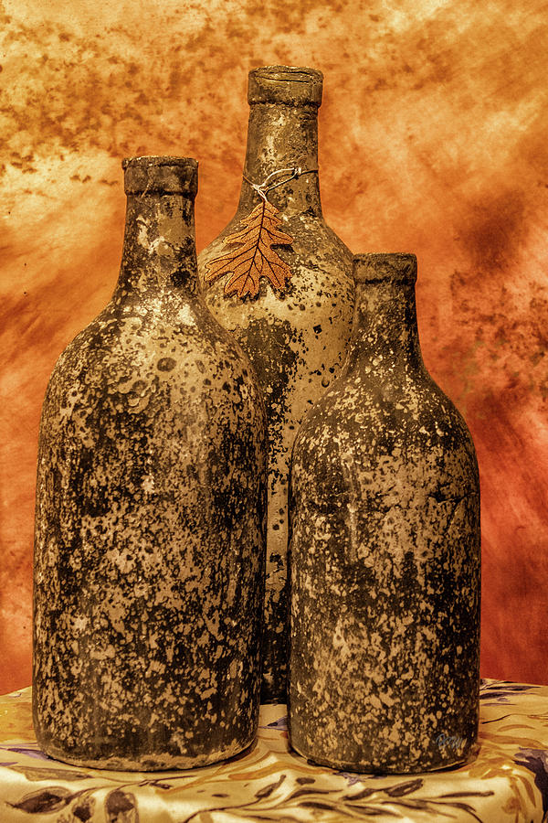 Vintage Bottles Photograph by Pamela Williams