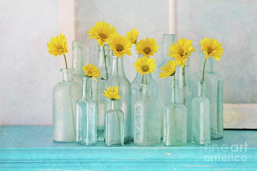 Vintage Bottles With Daisies Photograph
