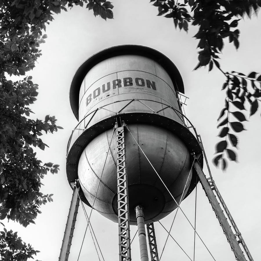 Vintage Bourbon Whiskey Water Tower Surrounded By Foliage - Square Monochrome Photograph