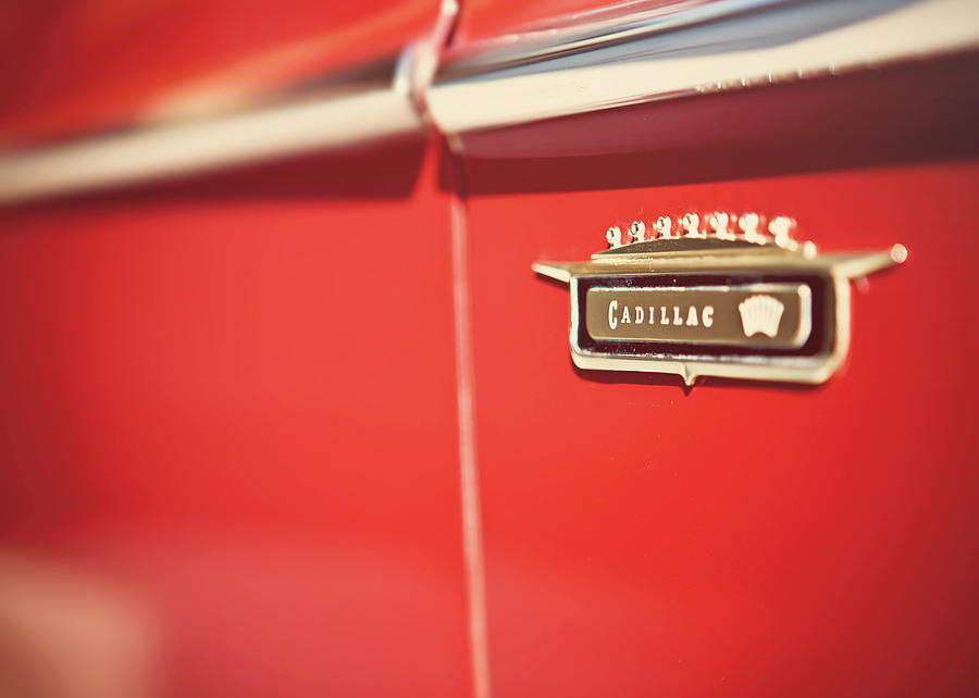 Cadillac Photograph - Vintage Caddy Emblem by Lisa R