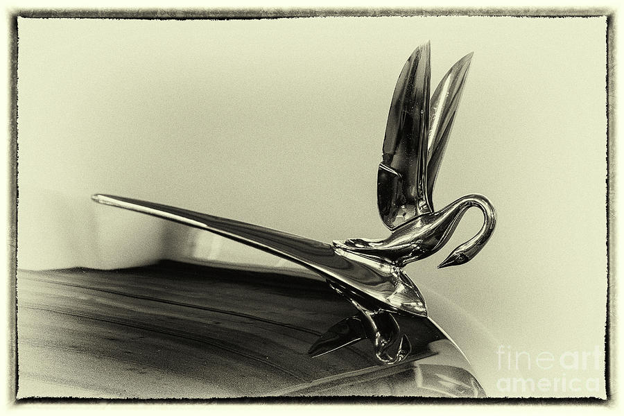 1948 Photograph - Vintage Cadilac 62, Hood Ornament by Vyacheslav Isaev 1948 Photograph - Vintage Cadilac 62, Hood Ornament by Vyacheslav Isaev