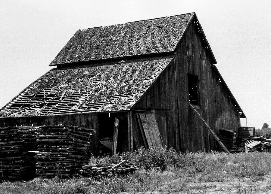 Vintage California Barn Photograph by Gene Parks