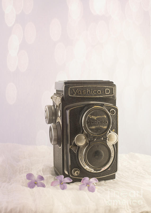 Vintage Photograph - Vintage Camera by Juli Scalzi