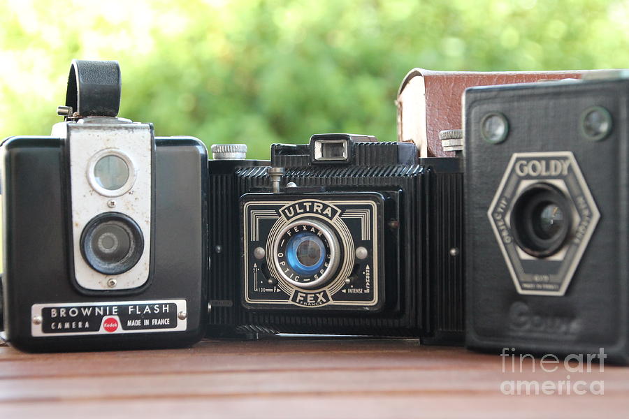 Vintage Cameras  Photograph by Lynn England