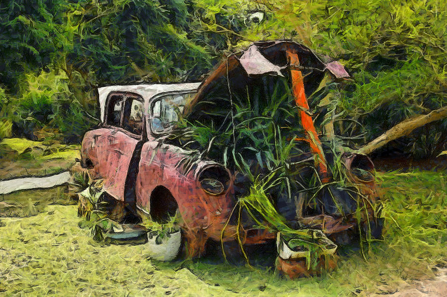 Vintage Car Planter Photograph by Studio Artist