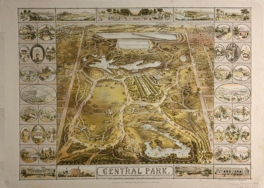 Central Park Drawing - Vintage Central Park NYC Pictorial Map  by Adam Shaw