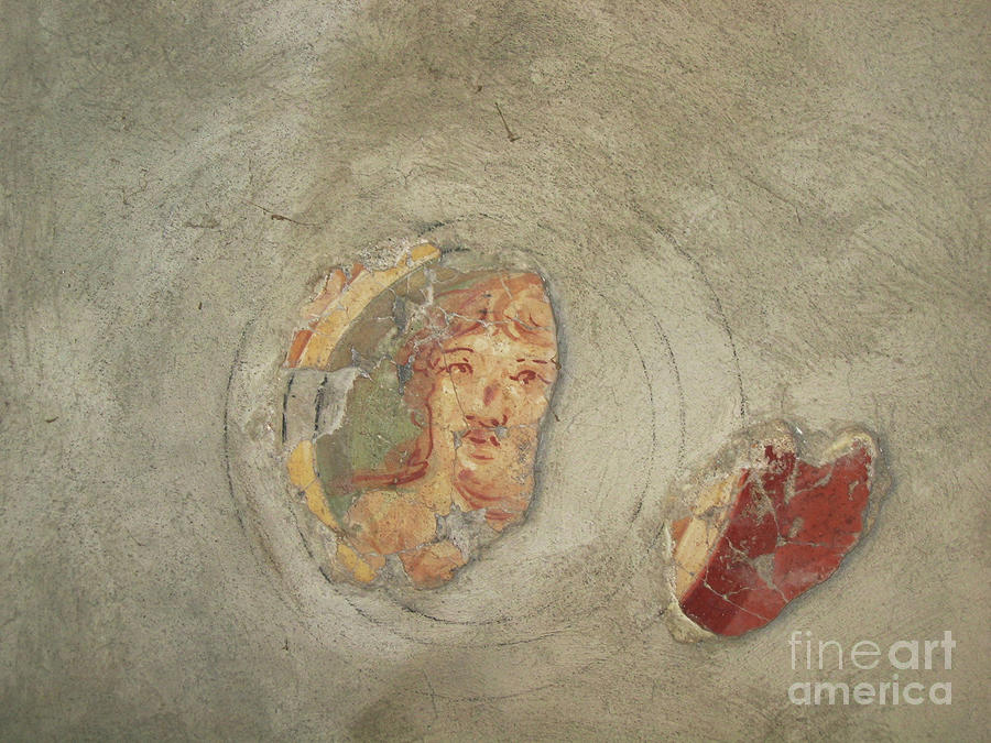 Pompeii ceramic mural Photograph by Patricia Hofmeester