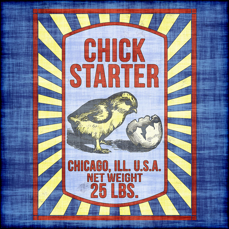Chicken Digital Art - Vintage Chick Starter Feed Bag by Joy McKenzie