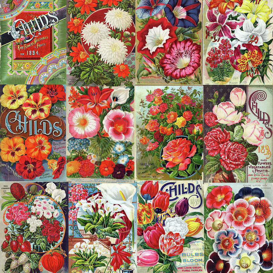 Vintage Childs Nursery Flower Seed Packets Mosaic  Photograph by Peggy Collins