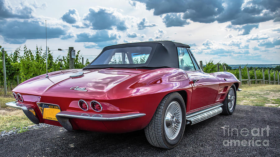 Vintage Corvette Sting Ray in Vineyard Photograph by Edward Fielding