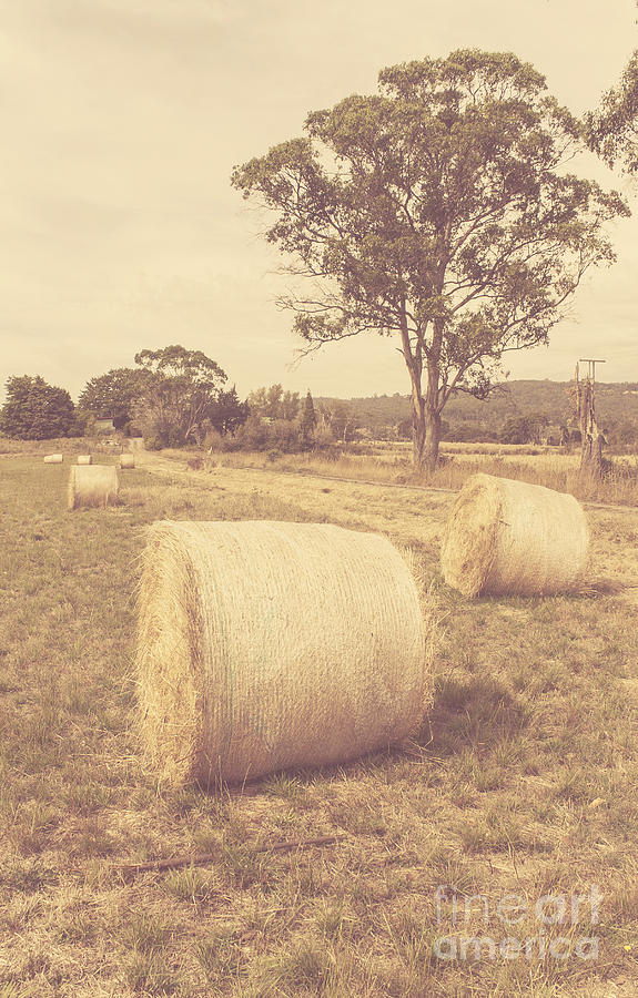 Vintage country farmyard Photograph by Jorgo Photography