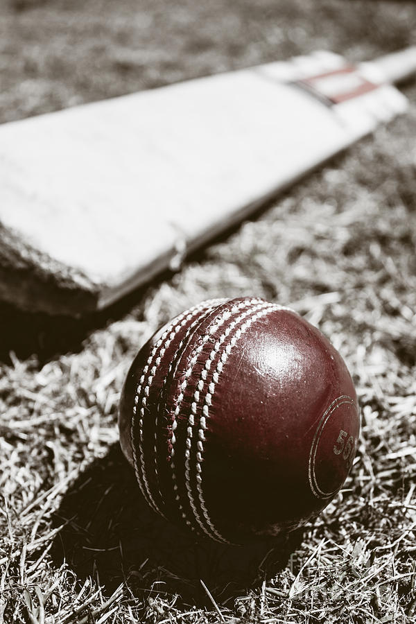 Vintage cricket Photograph by Jorgo Photography