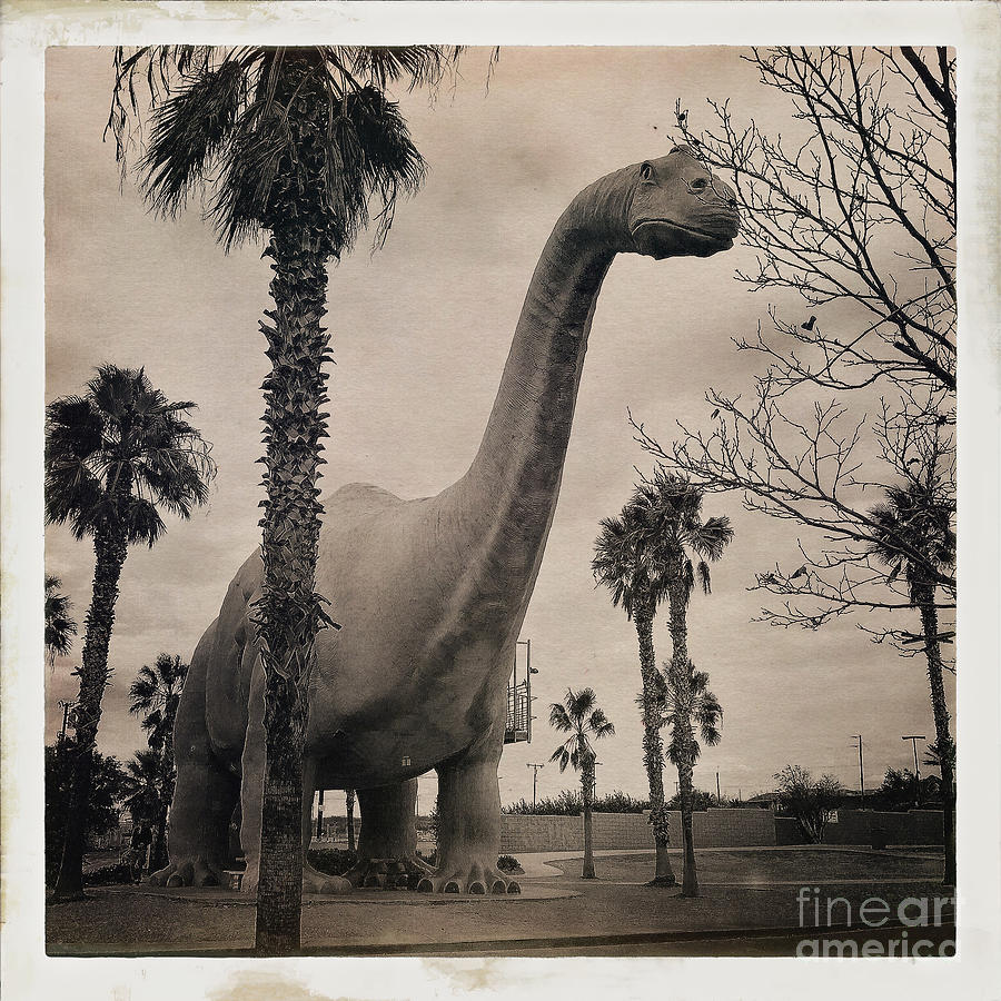 Vintage Dinosaur Photograph by Nina Prommer