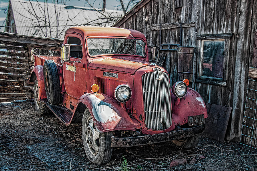 Vintage Dodge Pickup Photograph by Andrew Wilson