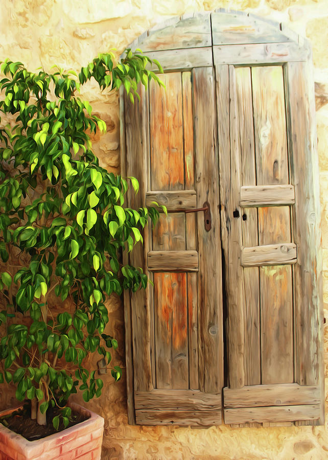 Vintage Door Photograph by Munir Alawi