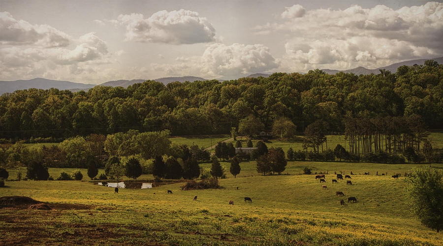 Vintage Farm Photograph by Eleanor Bortnick - Fine Art America