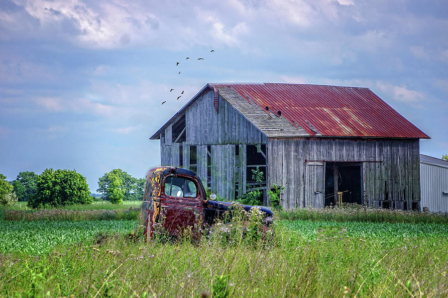 Vintage Farm Find Photograph by Mary Timman